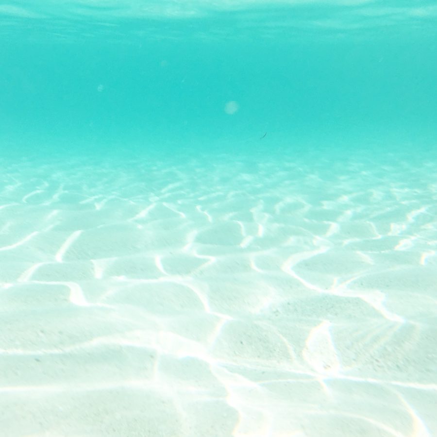 this was taken with my tosh underwater iphone bag!
