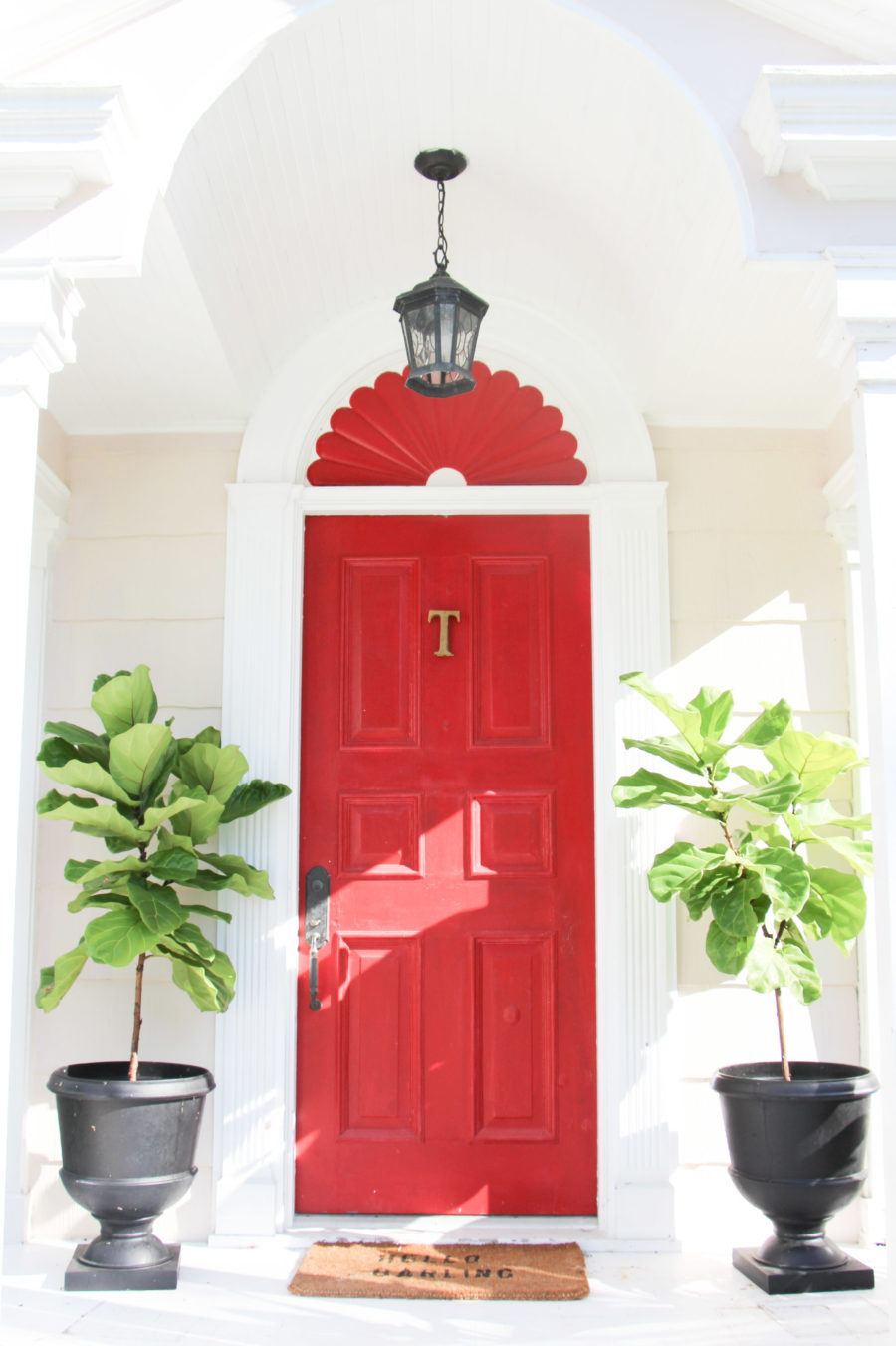red front door with fiddle leaf fig trees 