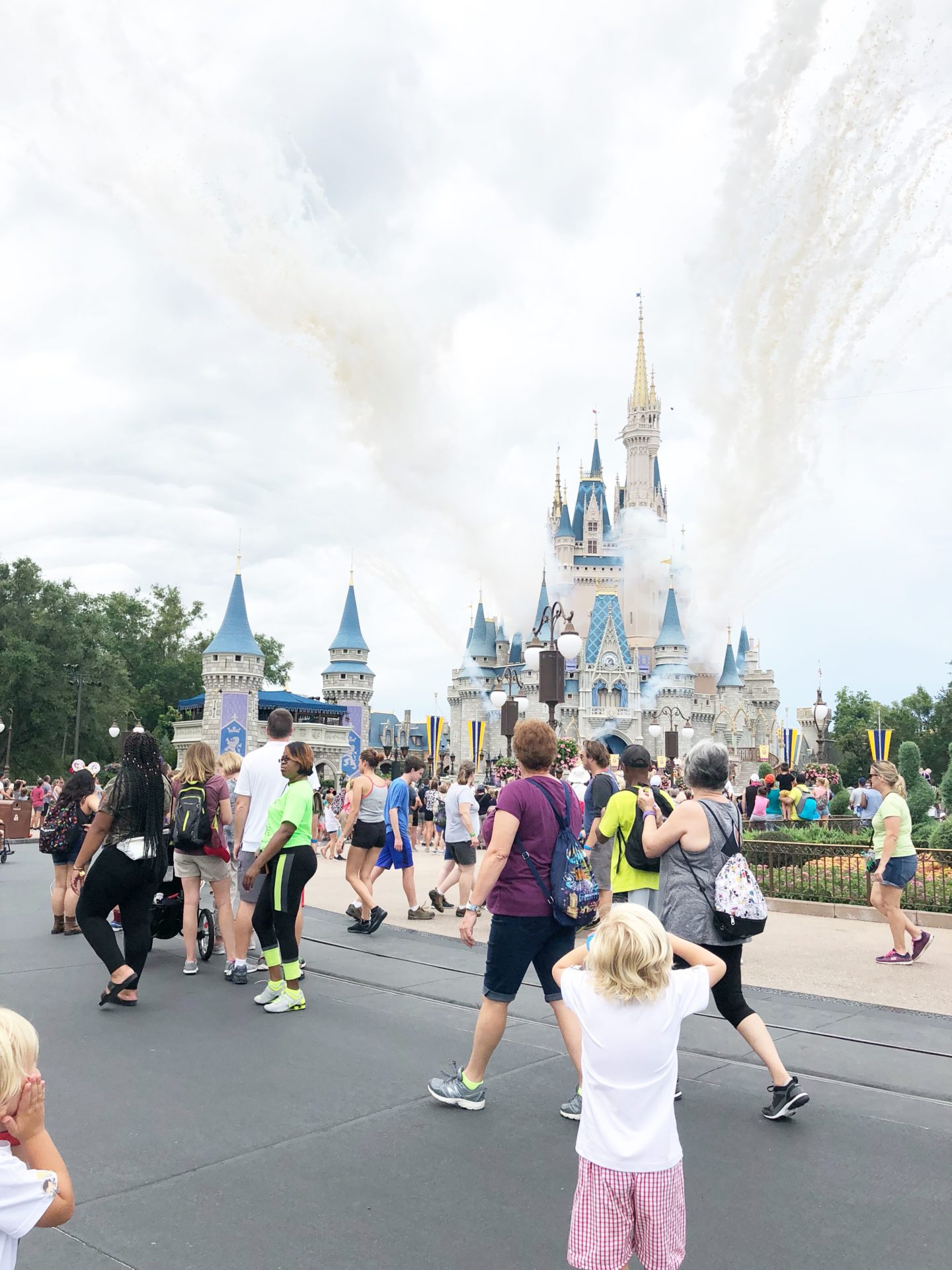solo parenting at disney world