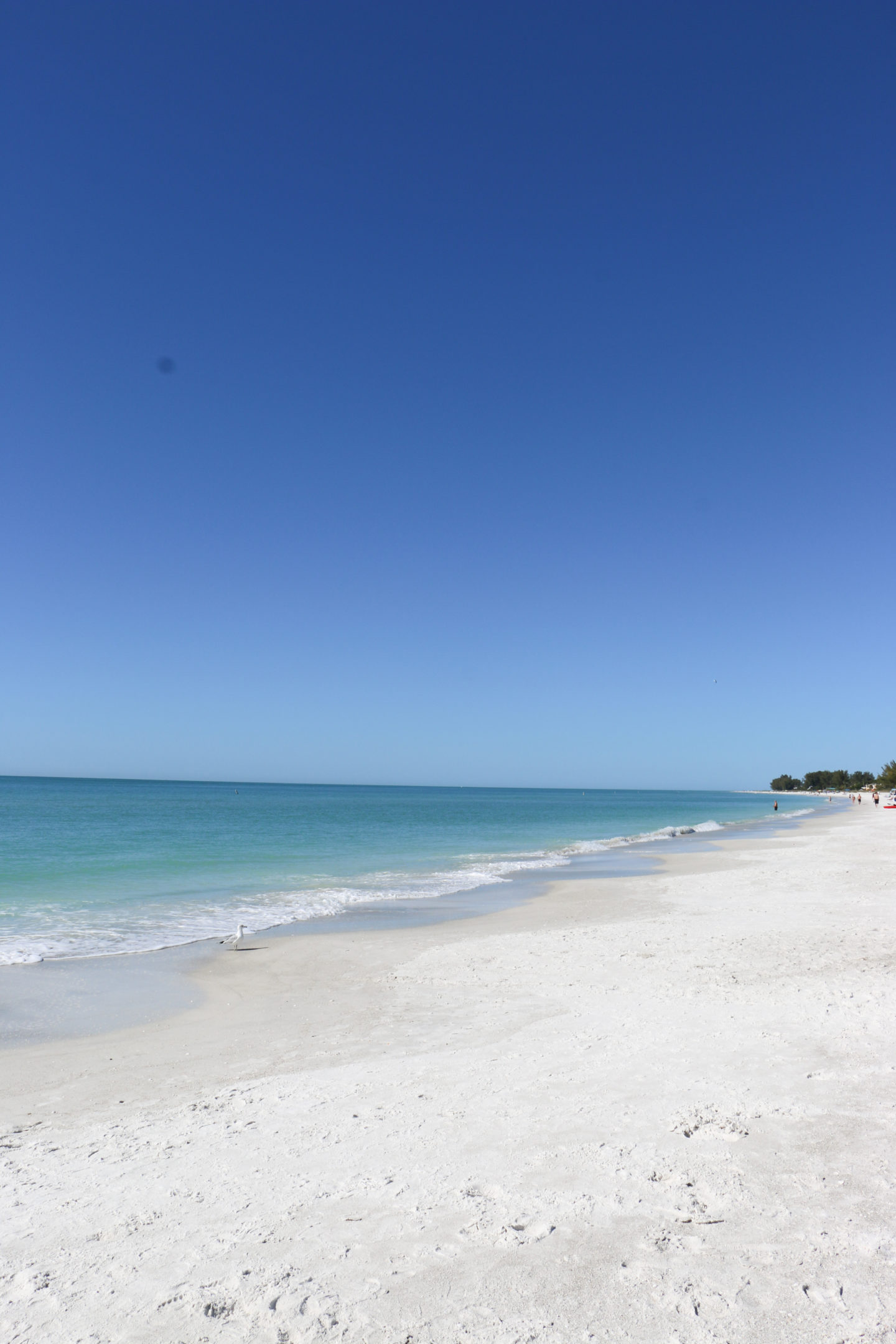 anna maria island