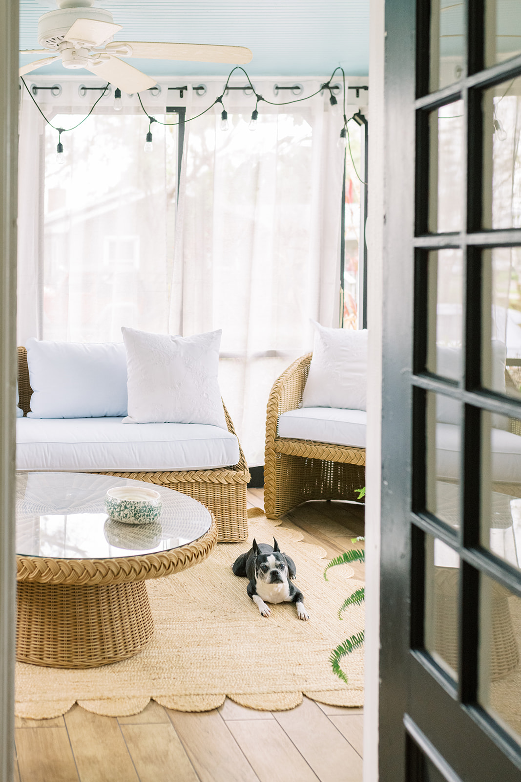 a sleeping porch with a boston terrier